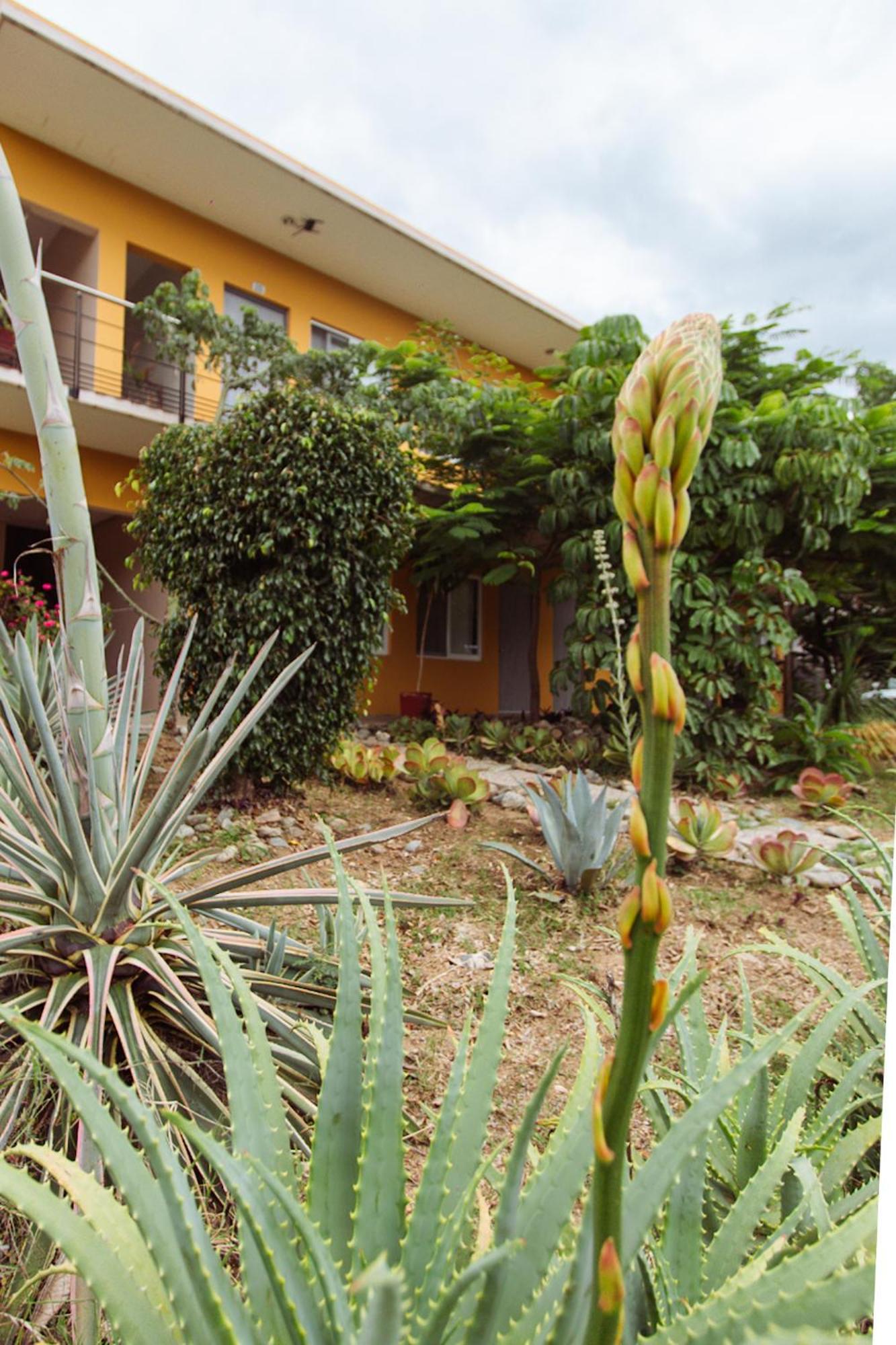 Hotel Guiva San Pablo Hacienda Blanca Ngoại thất bức ảnh